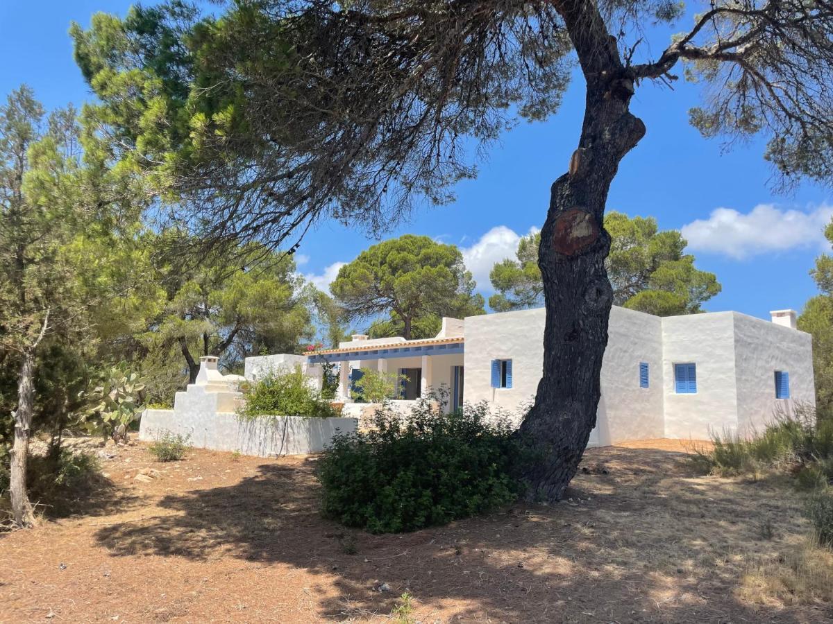 Sa Tanca Des Pla Villa San Francisco Javier Kültér fotó